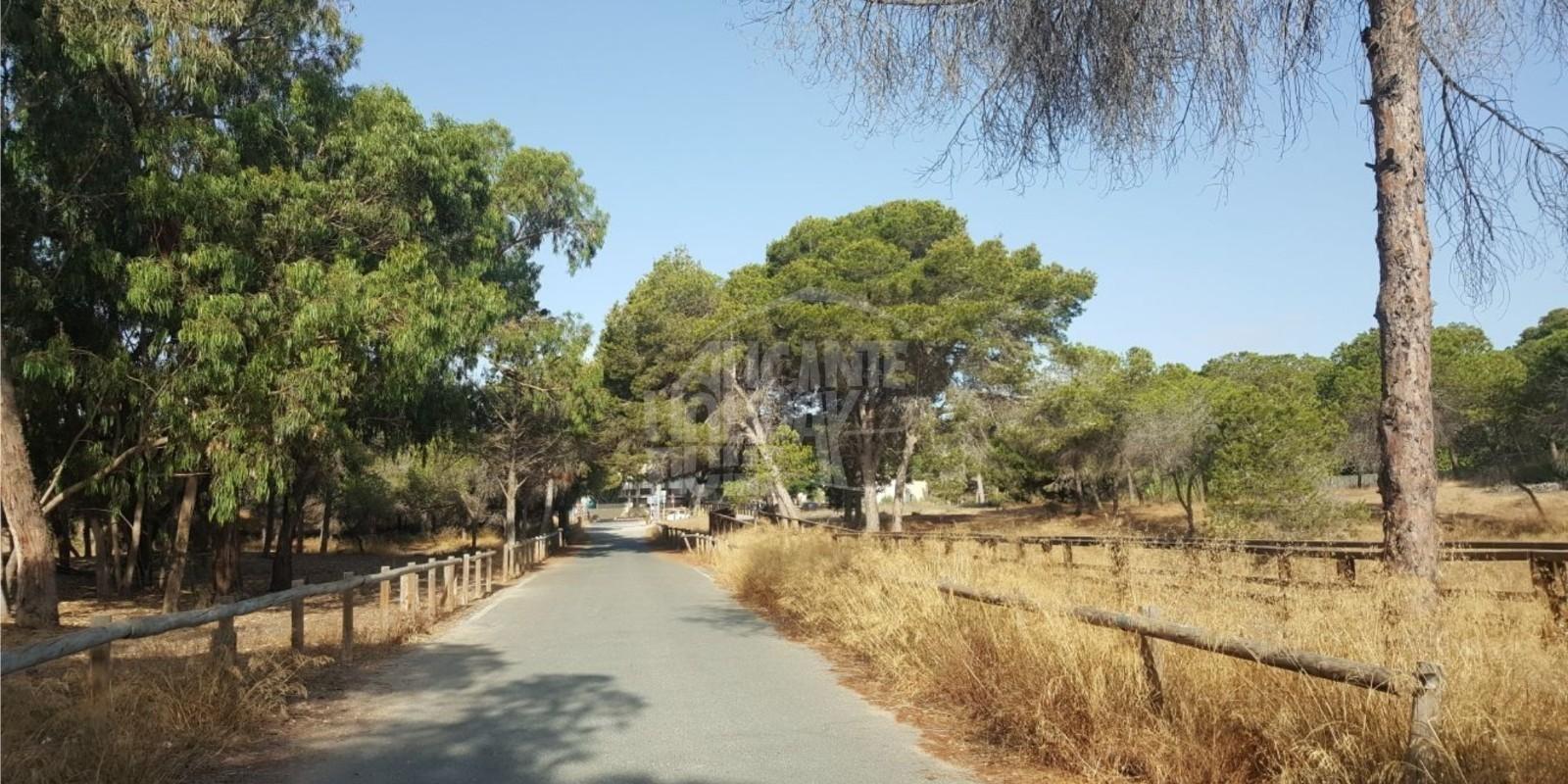 Inversión y calidad de vida en las pedanías de Elche